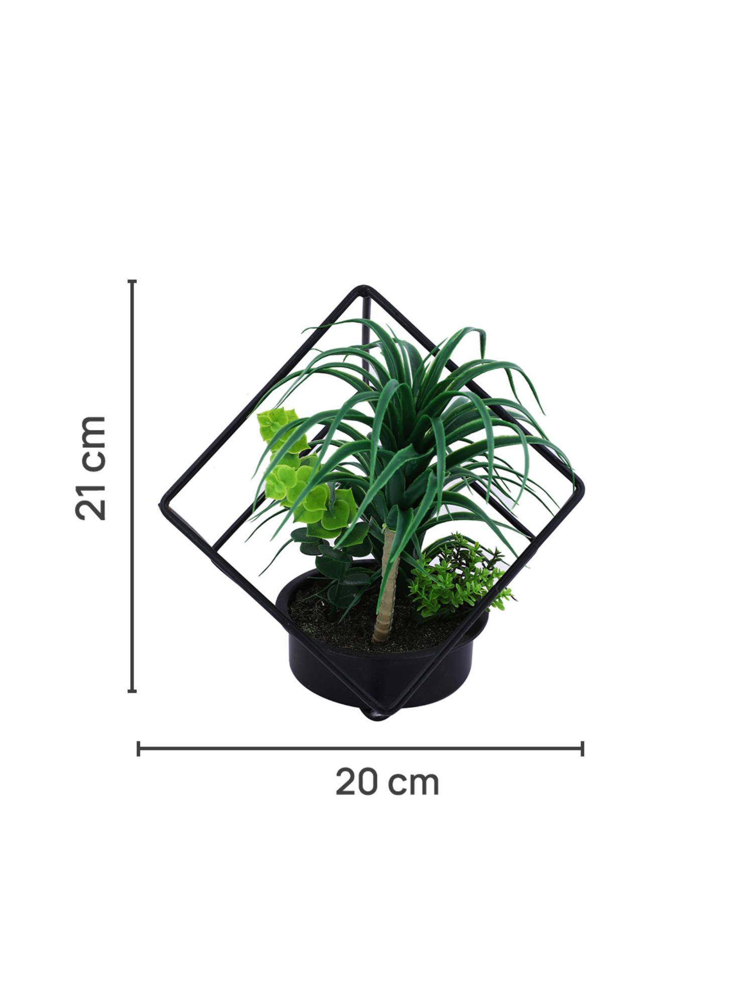 product image5
