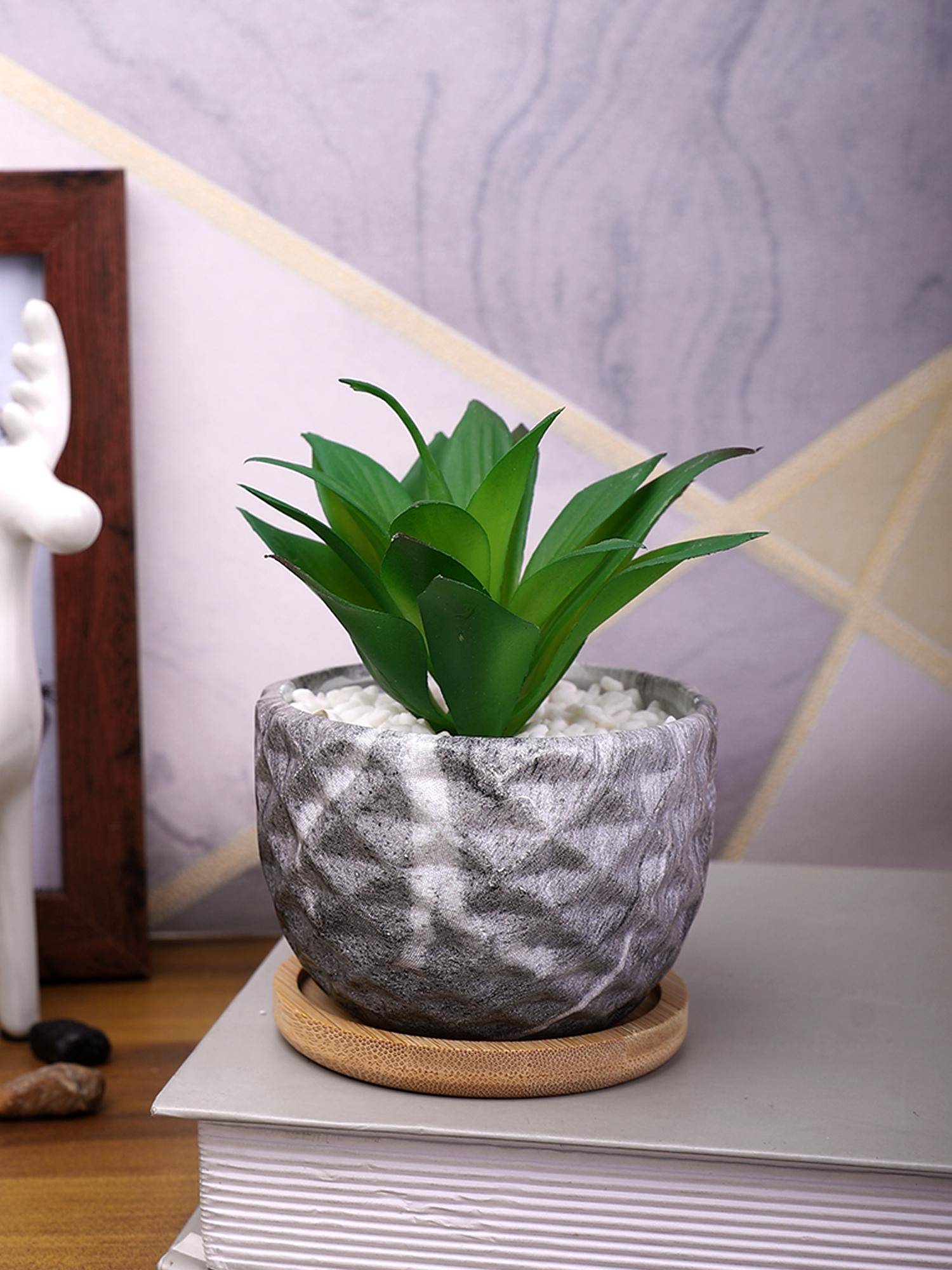 Tayhaa Grey Artificial Aloe Vera Plant Patterned Ceramic Pot with Wooden Plate