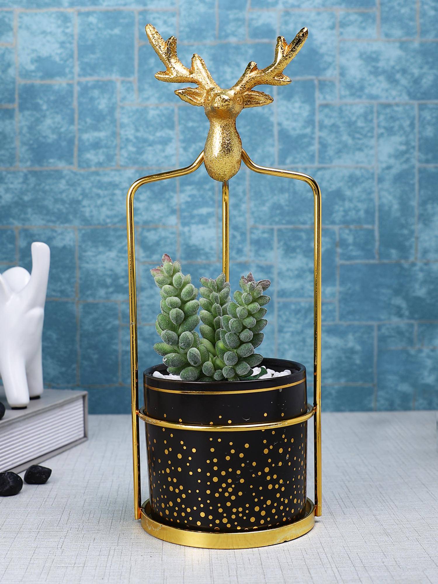 Tayhaa Black Highly Attractive Reindeer Cage Succulent Plant with Ceramic Pot