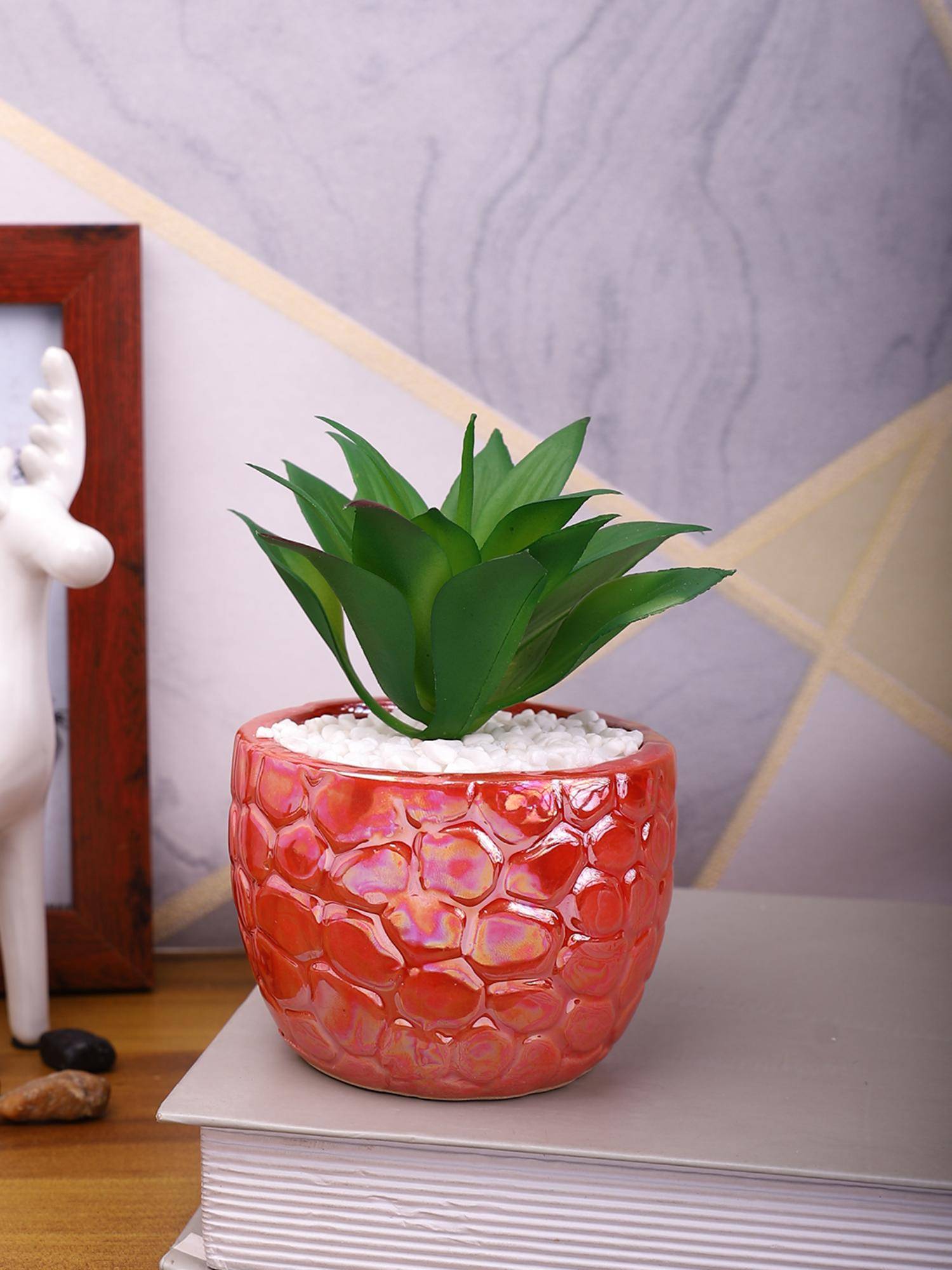 Tayhaa Attractive Aloe Vera Plant with Red Pebble Patterned Design Ceramic Pot