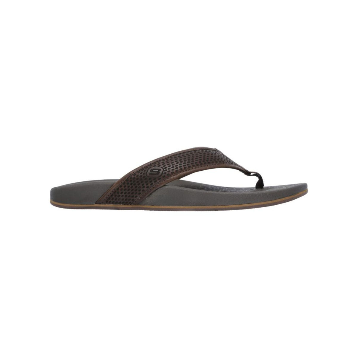 Buy SKECHERS Pelem Emiro Brown Flipflops Online