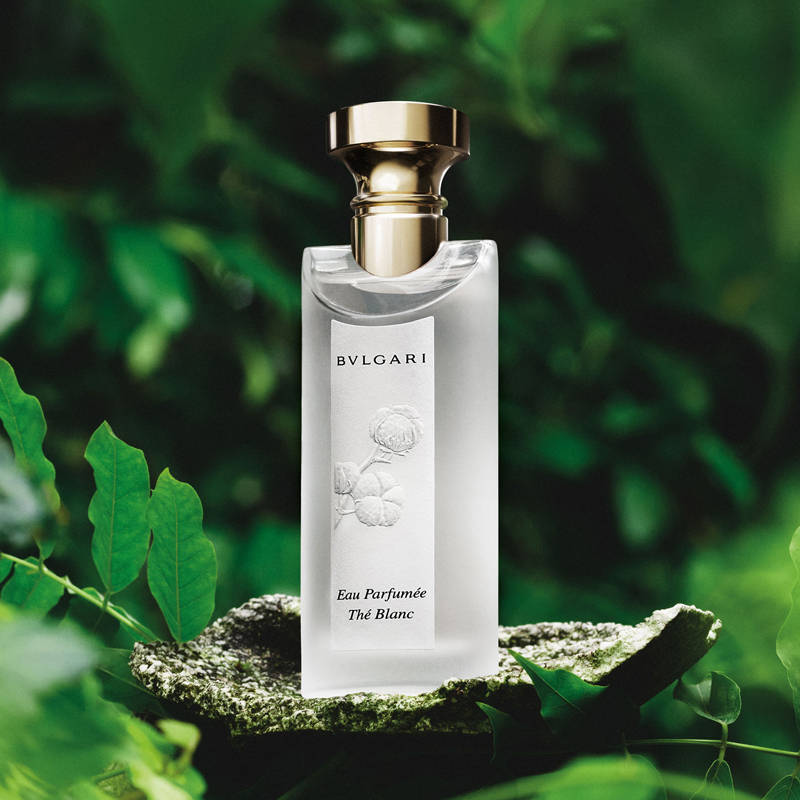 BVLGARI Eau Parfumée au thé blanc 75ml F Buy BVLGARI Eau Parfumee The Blanc Eau De Toilette Online