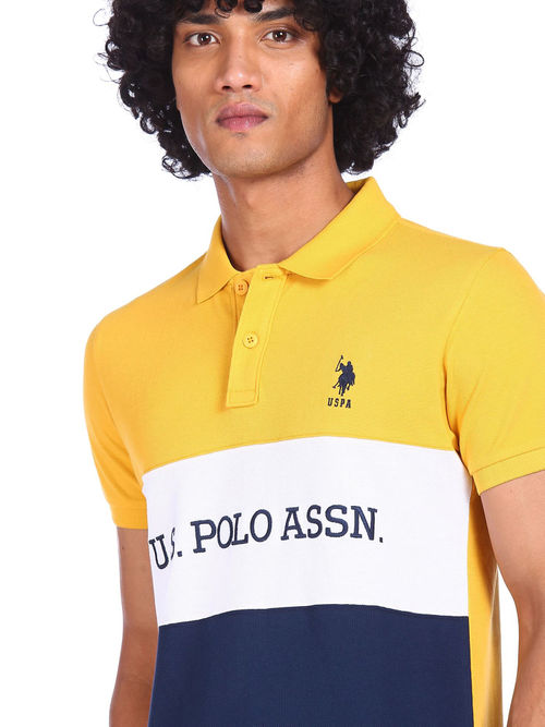 Buy POLO Men Mustard Colour Block Pique Polo T-shirt Online