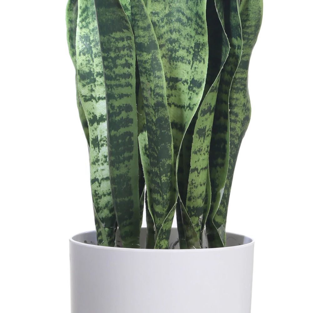 Fourwalls Artificial Sansevieria Snake Plant in a Plastic Pot Buy