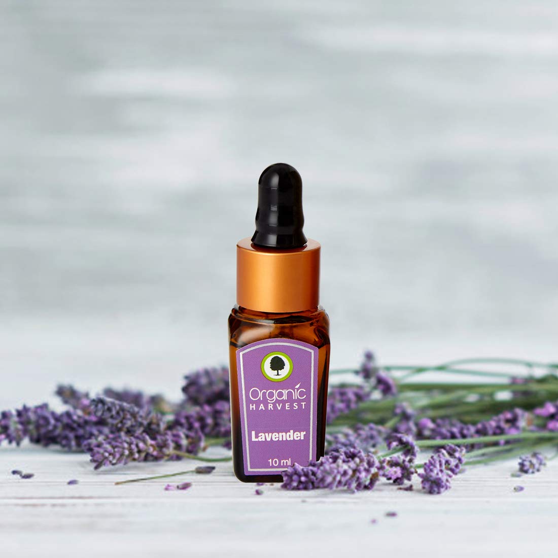 Organic Harvest Lavender Essential Oil With Diffuser Combo Gift Set