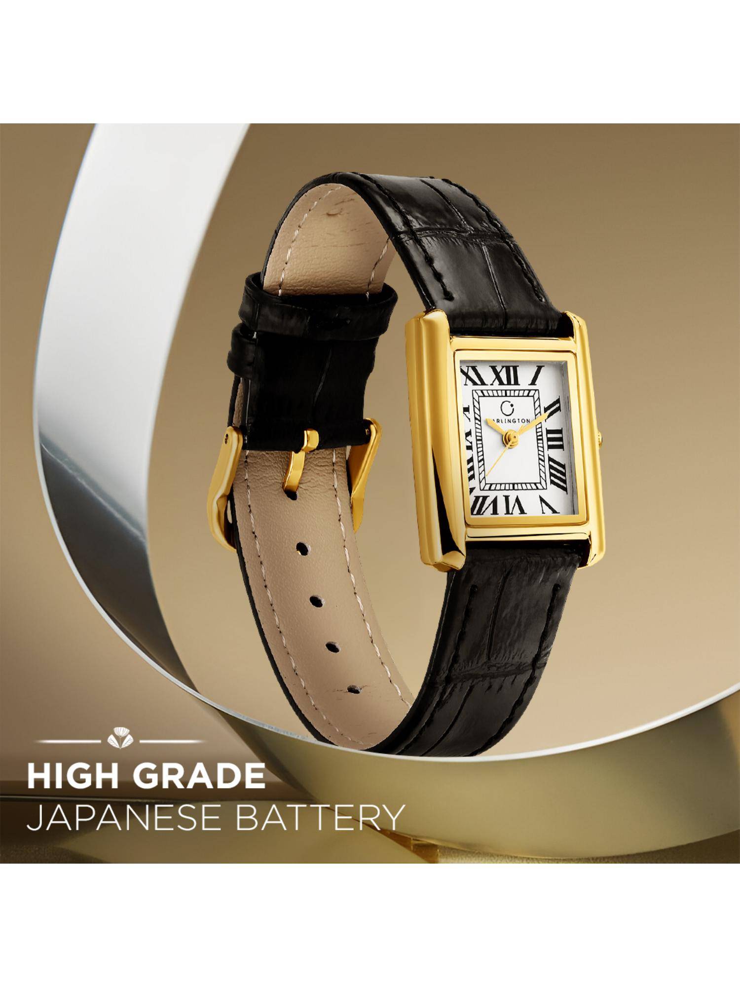 CARLINGTON Aura Series Analog Women Wrist Watch (208) (M)