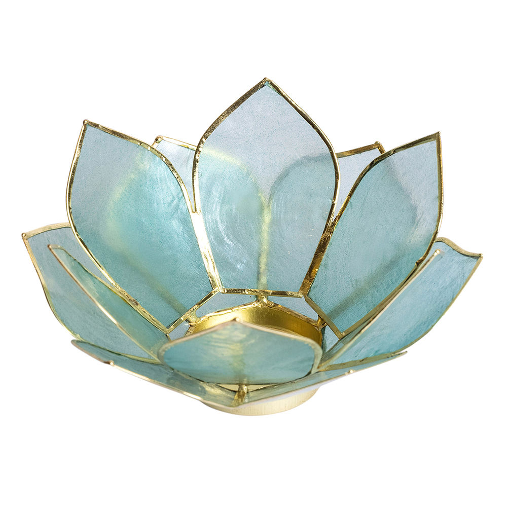 Pure Home + Living Blue Capiz Lotus Tea Light Holder 12 Shells (1) Buy Pure Home + Living