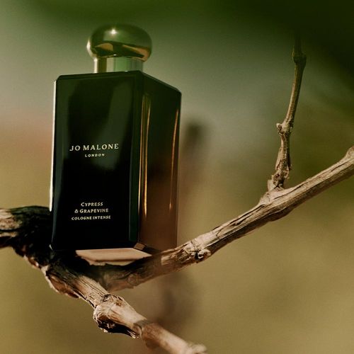 Buy Jo Malone London Cypress & Grapevine Cologne Intense Online