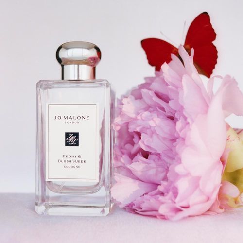 Blush Suede Jo Malone Perfume Notes Jo Malone London Peony Blush