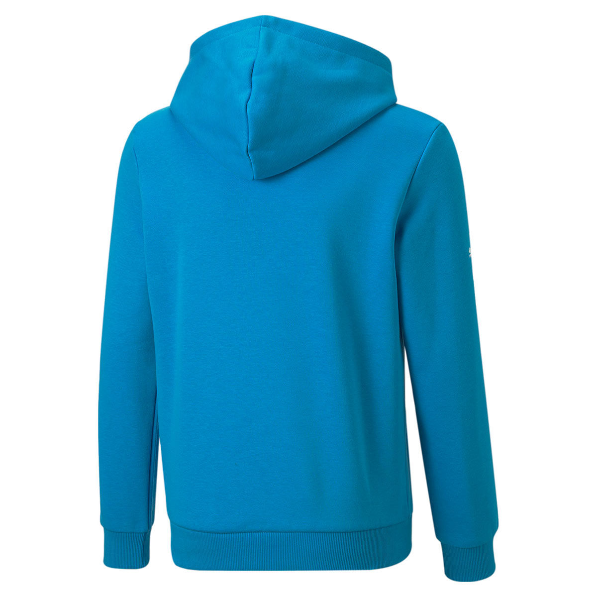 puma turquoise hoodie