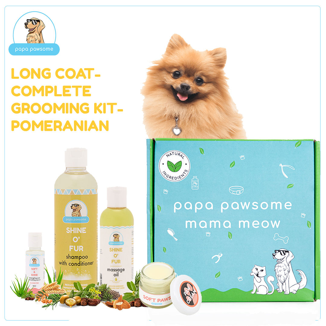 Papa Pawsome Long/drop Coat - Pomeranian - Complete Grooming Kit