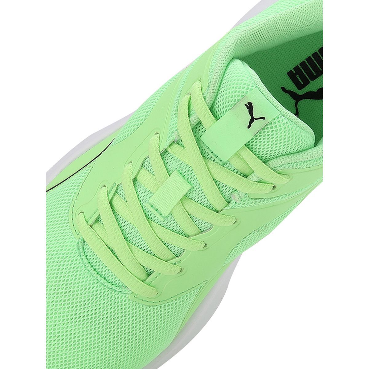 Buy Puma Transport Unisex Green Running Shoes Online