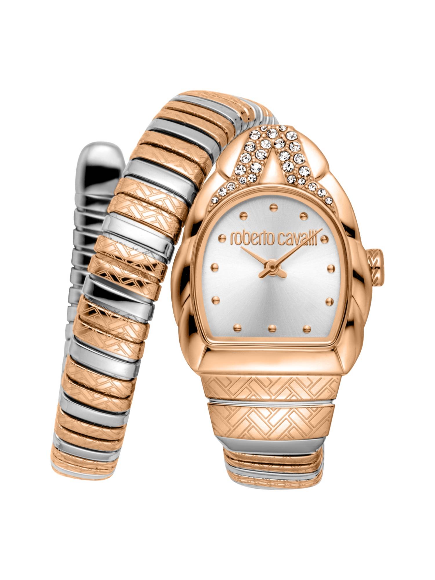 Roberto Cavalli Aurora Women Analog Asymmetrical Stainless Steel Silver Watch-Rc5L133M0075 (M)