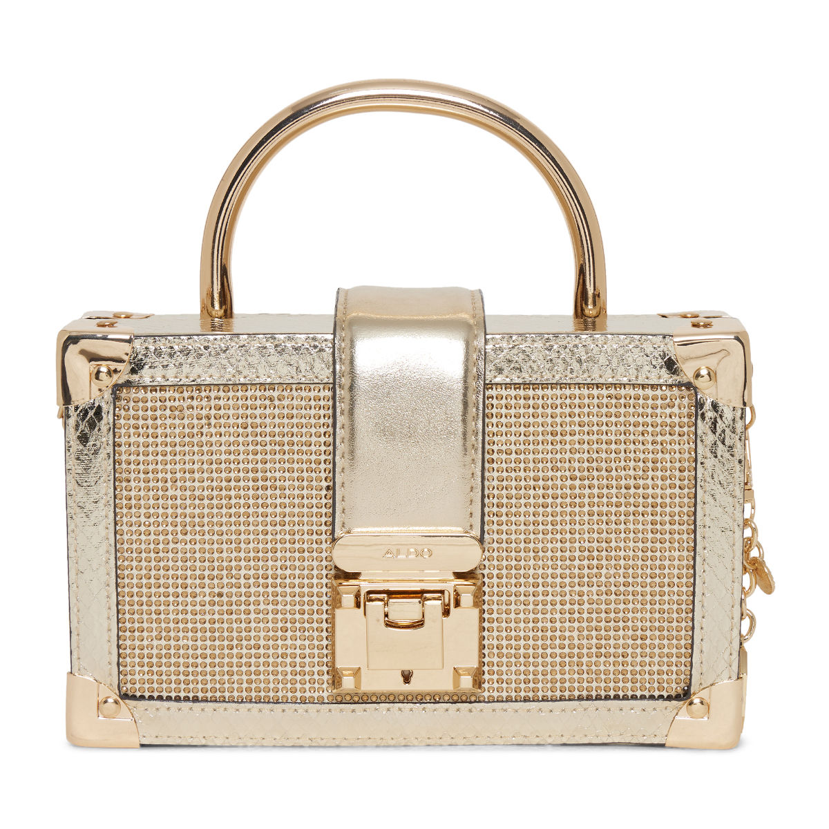 Aldo transparent online bag