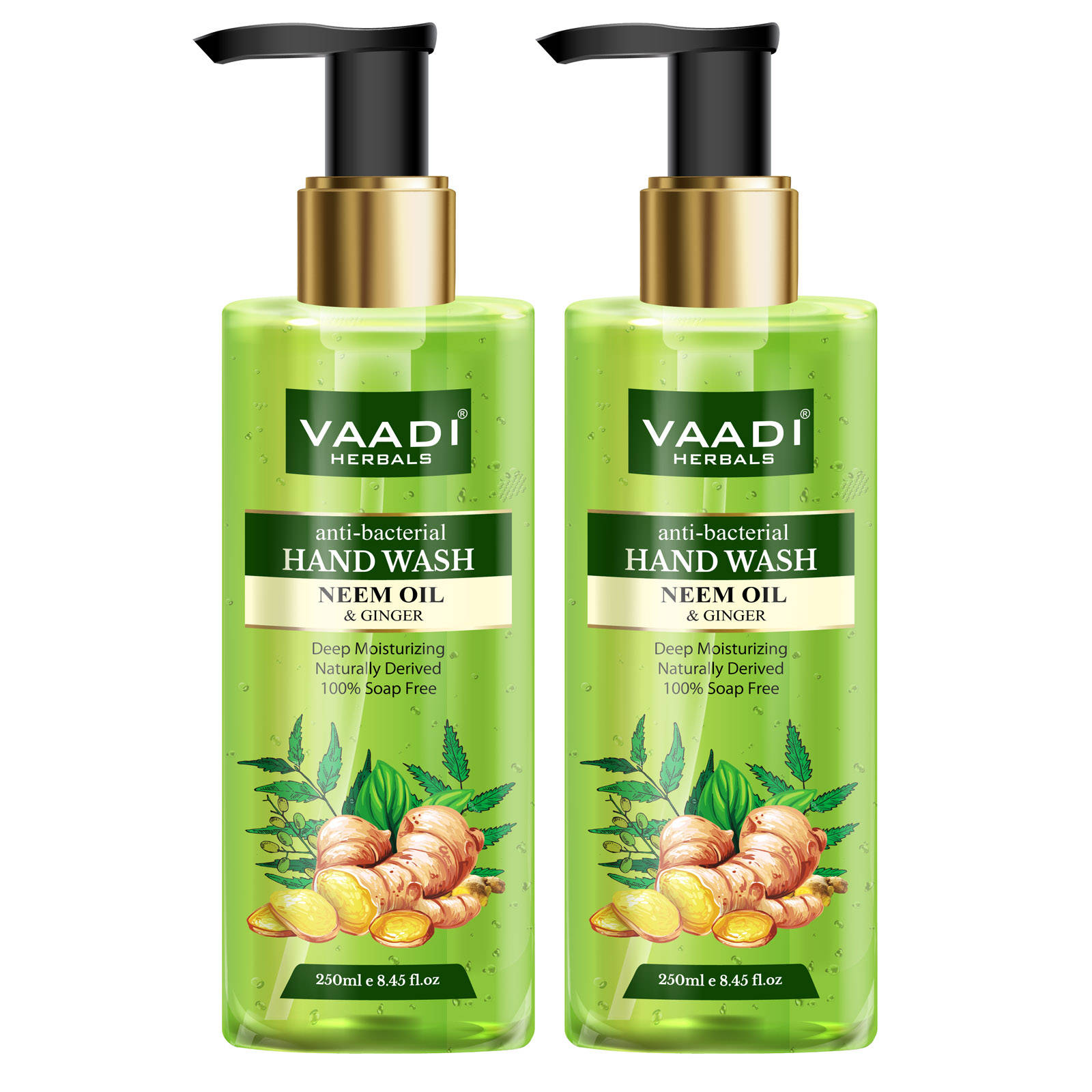 Vaadi Herbals Anti - Bacterial Neem Oil & Ginger Hand Wash - Pack Of 2