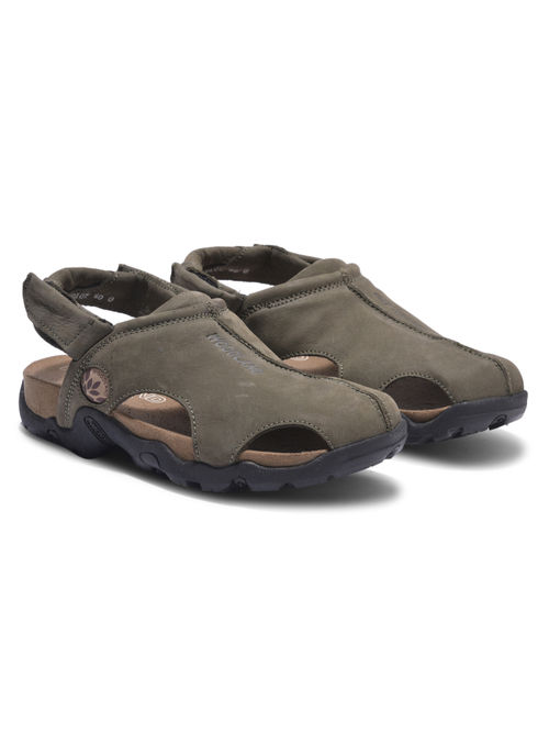 WOODLAND Men Olive Green Casual Sandals