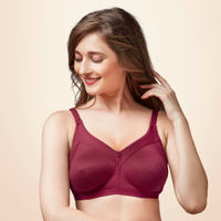 Buy Groversons Paris Beauty Women's Seamless Non-Padded Non-Wired Bra-PO2  Online