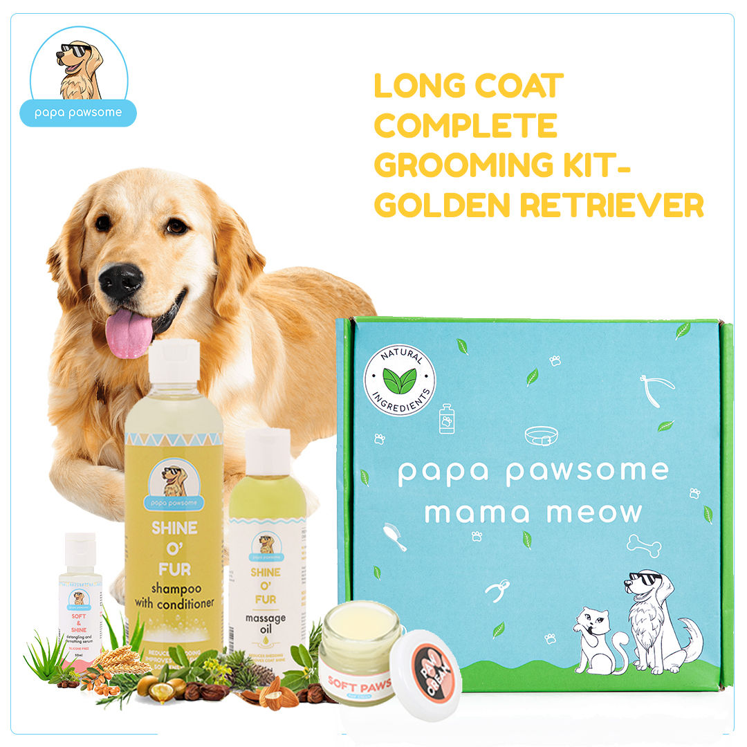Papa Pawsome Long/drop Coat - Golden Retriever - Complete Grooming Kit