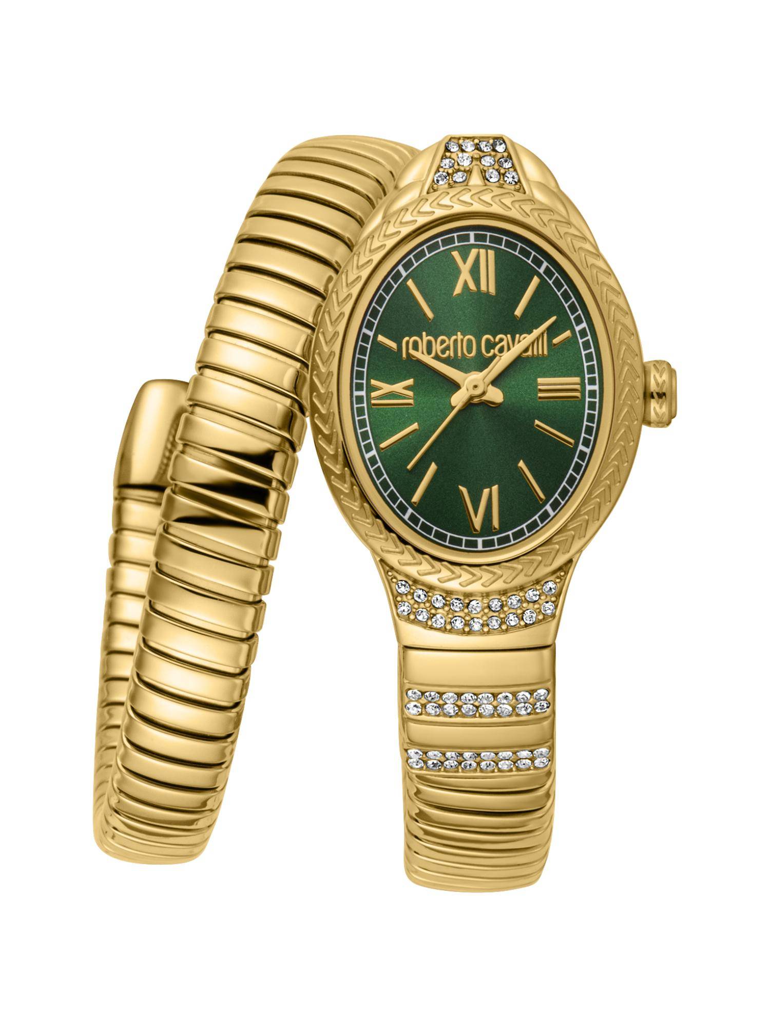 Roberto Cavalli Women Nirvana Green Dial Analog Watch - RC5L151M0045 (M)