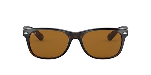 Buy Ray-Ban 0RB3547N Brown Evolve Icons Oval Sunglasses (51 mm) Online