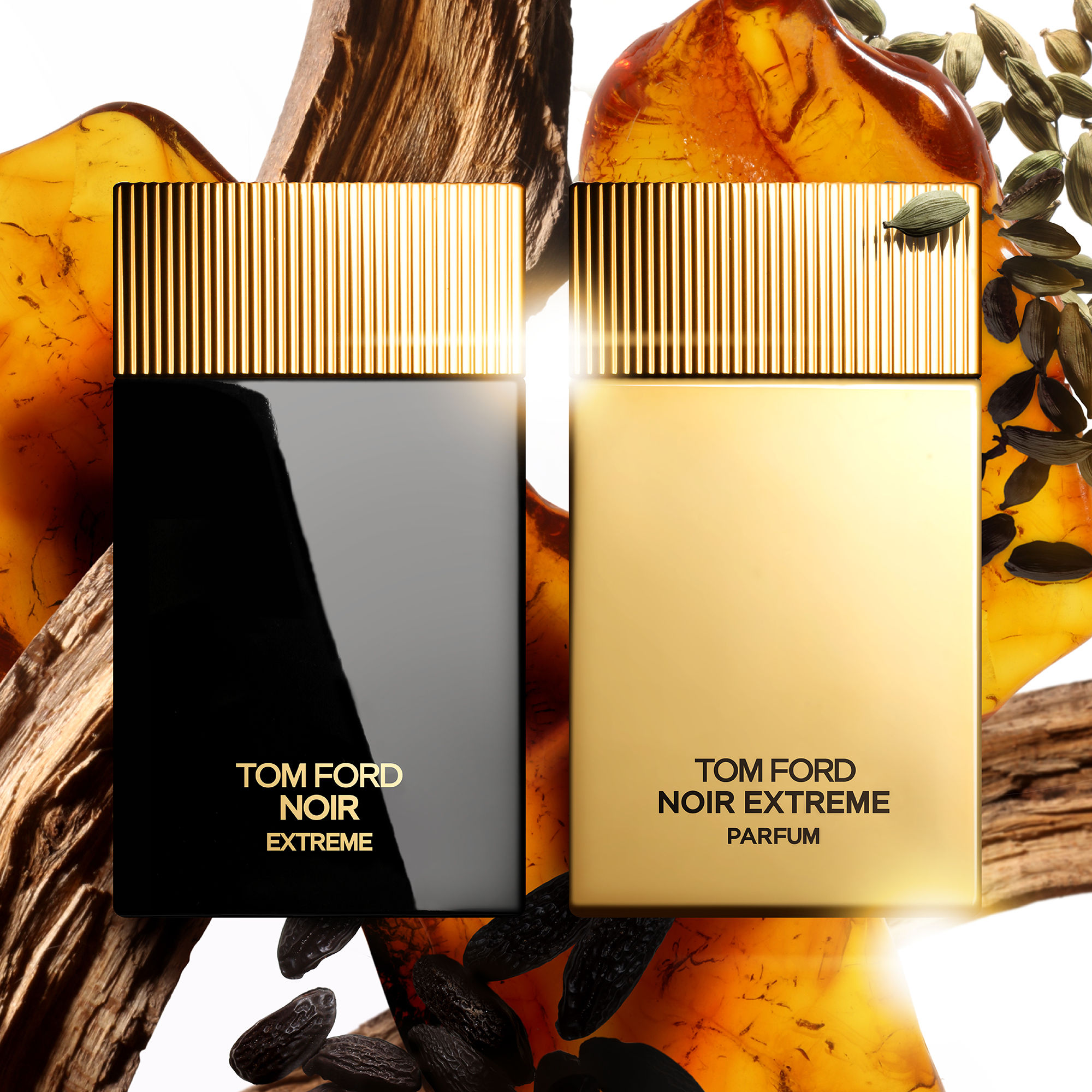Buy Tom Ford Noir Eau de Parfum Online