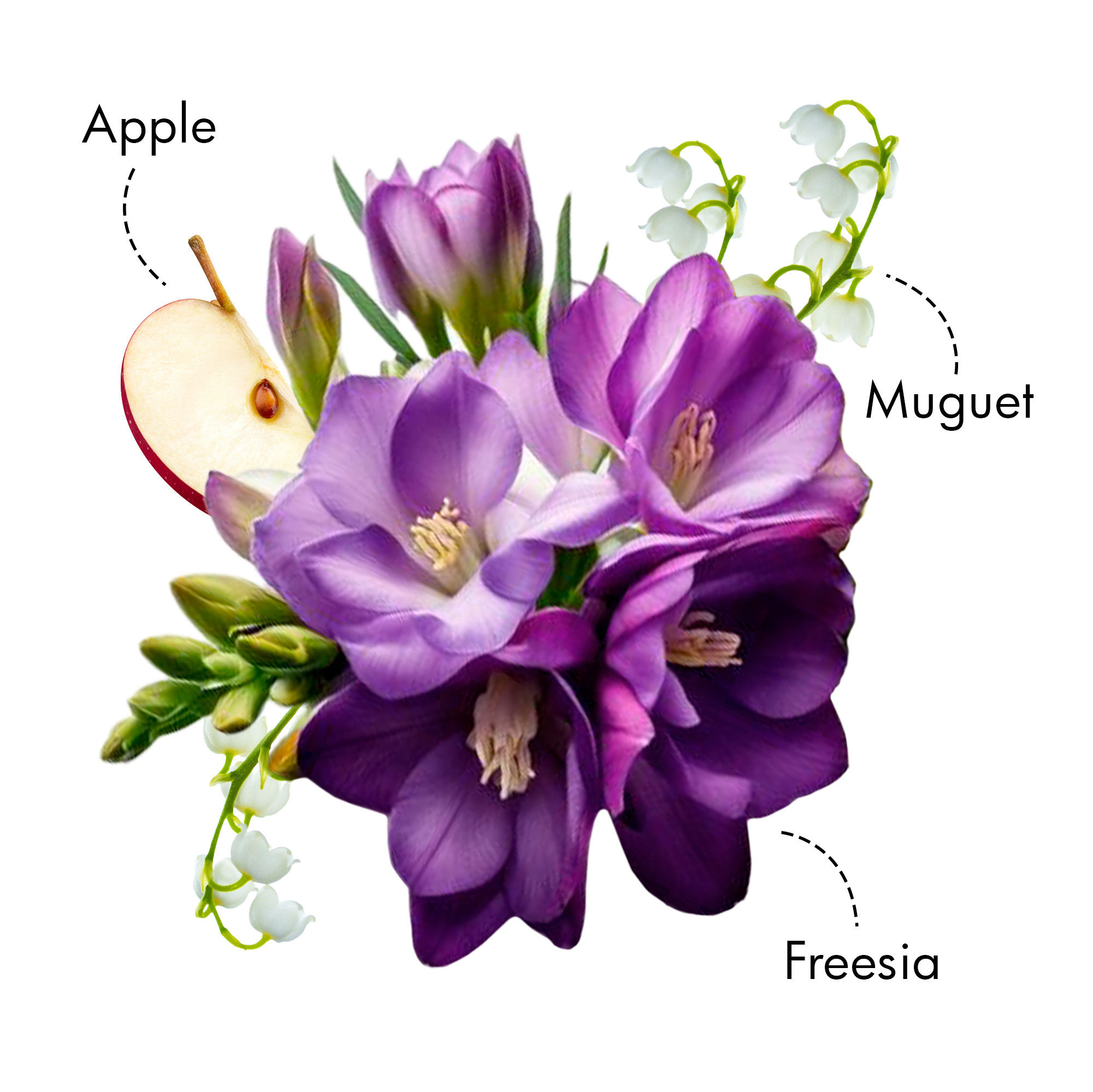 product image4