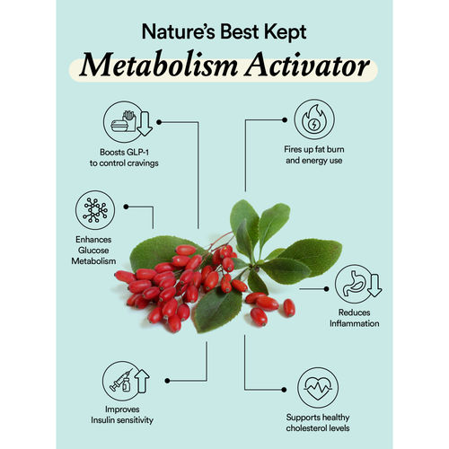 berberine plus l carnitine Sugar Cut Berberine Gummies | New Nordic main image 0