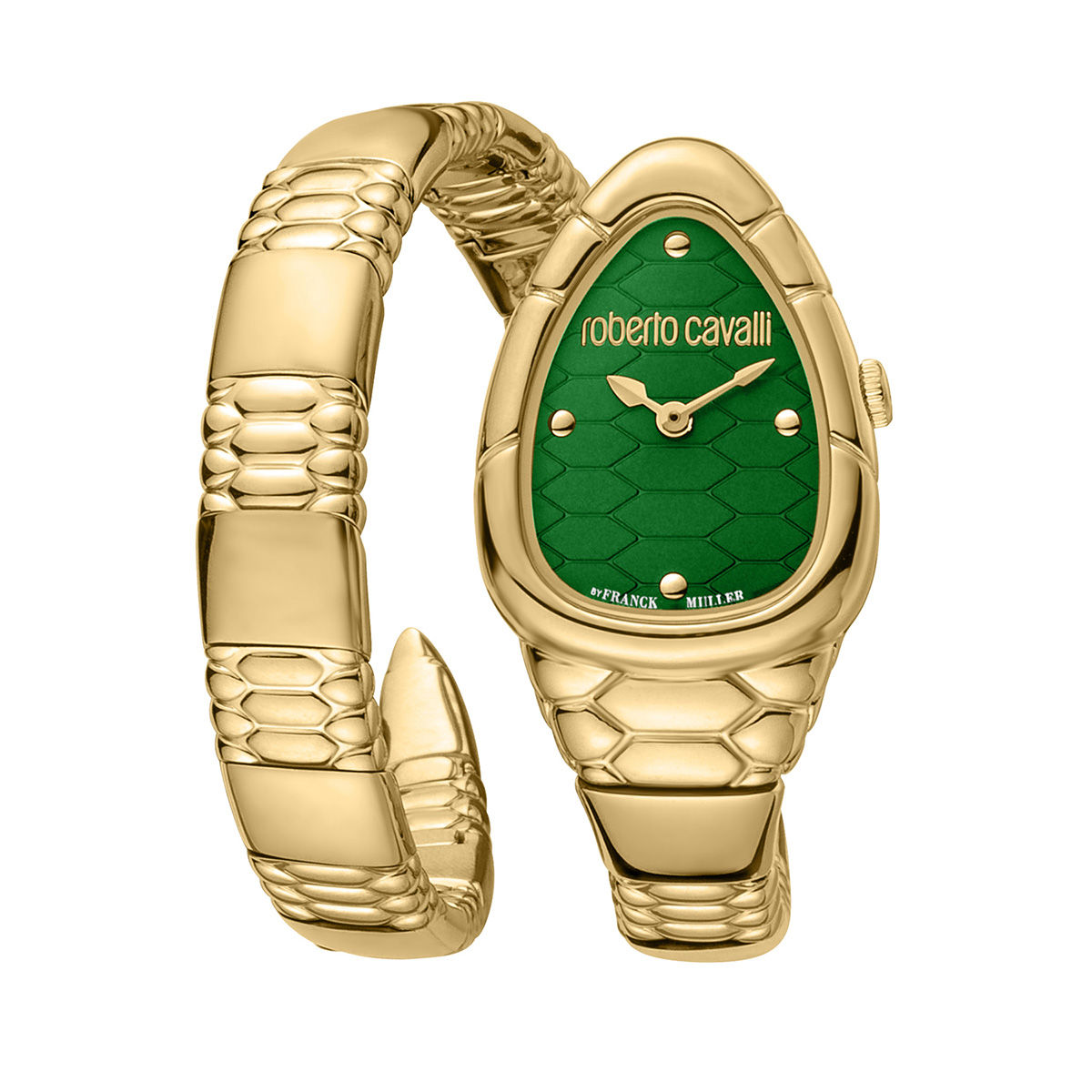 Buy Roberto Cavalli by Frank Muller Green Dial Women Watch M Online