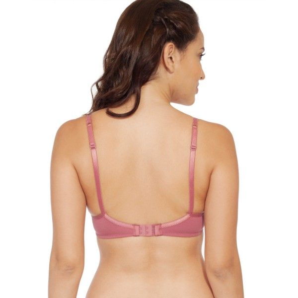 SOIE Women's Non wired Cotton Bra Combo Pack of 2 MultiColor Buy