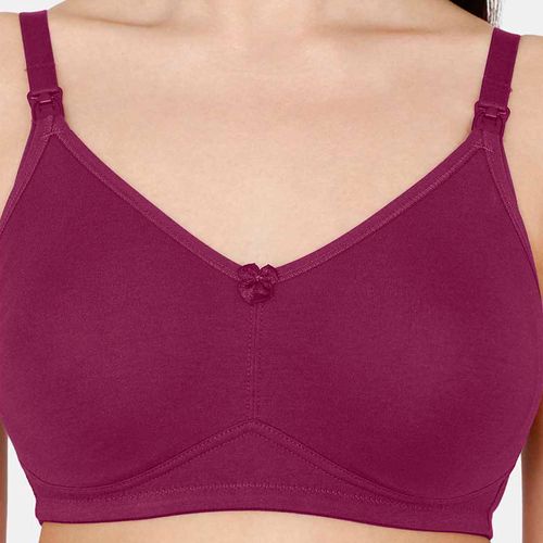 Buy Zivame Double Layered Non Wired 3/4th Coverage Maternity/ Nursing Bra -  Purple Online