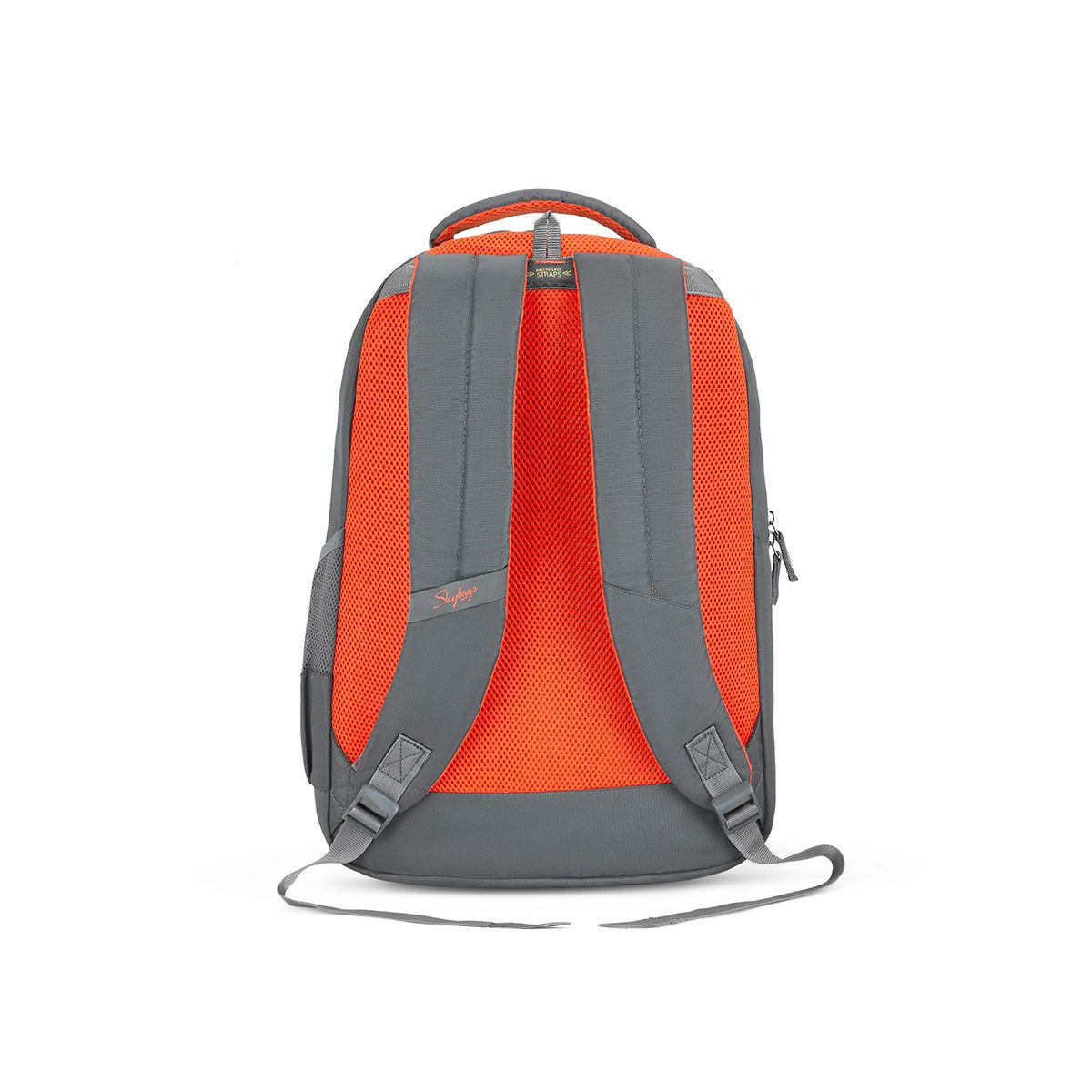 Buy Skybags Teckie Pro Laptop Backpack - E Grey Online