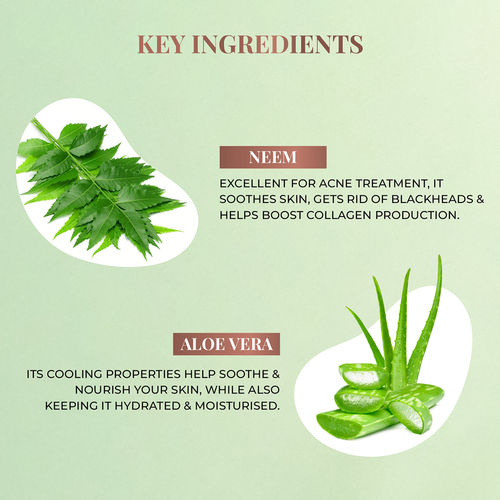 Buy Just Herbs Neem And Aloe Vera Plant Salicylic Acid Foaming Face Wash  Online