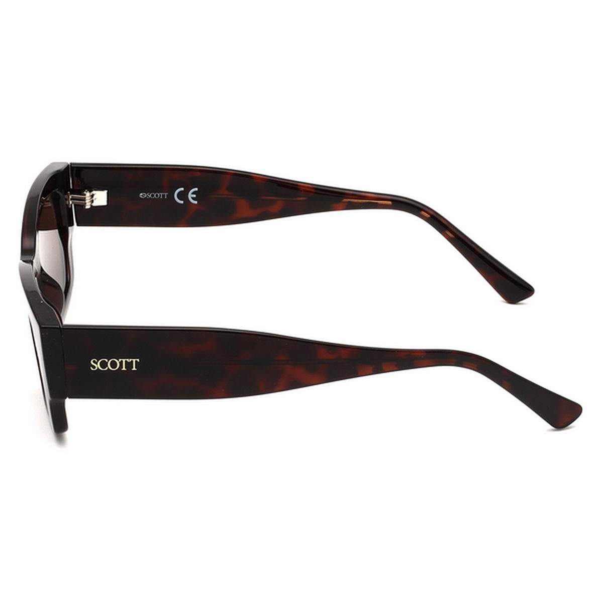Buy Scott Sunglasses Unisex Brown Lens Rectangle Sunglasses with