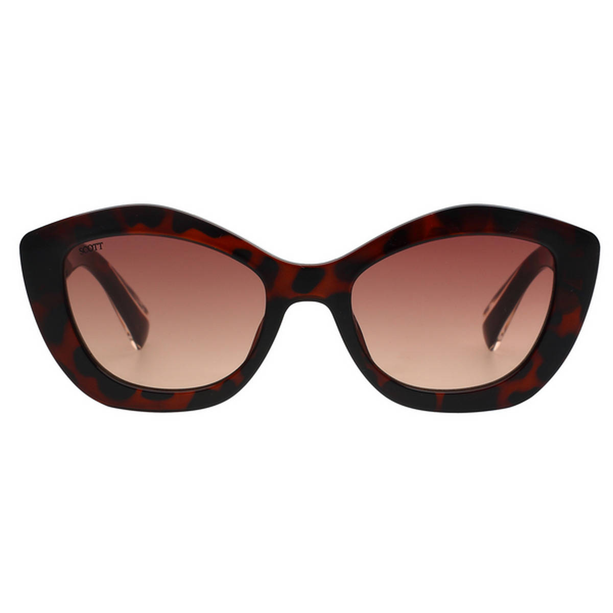 Scott Sunglasses Womens Gradient Brown Lens Cat Eye Sunglasses - 3005 Eliza C2 S (51)