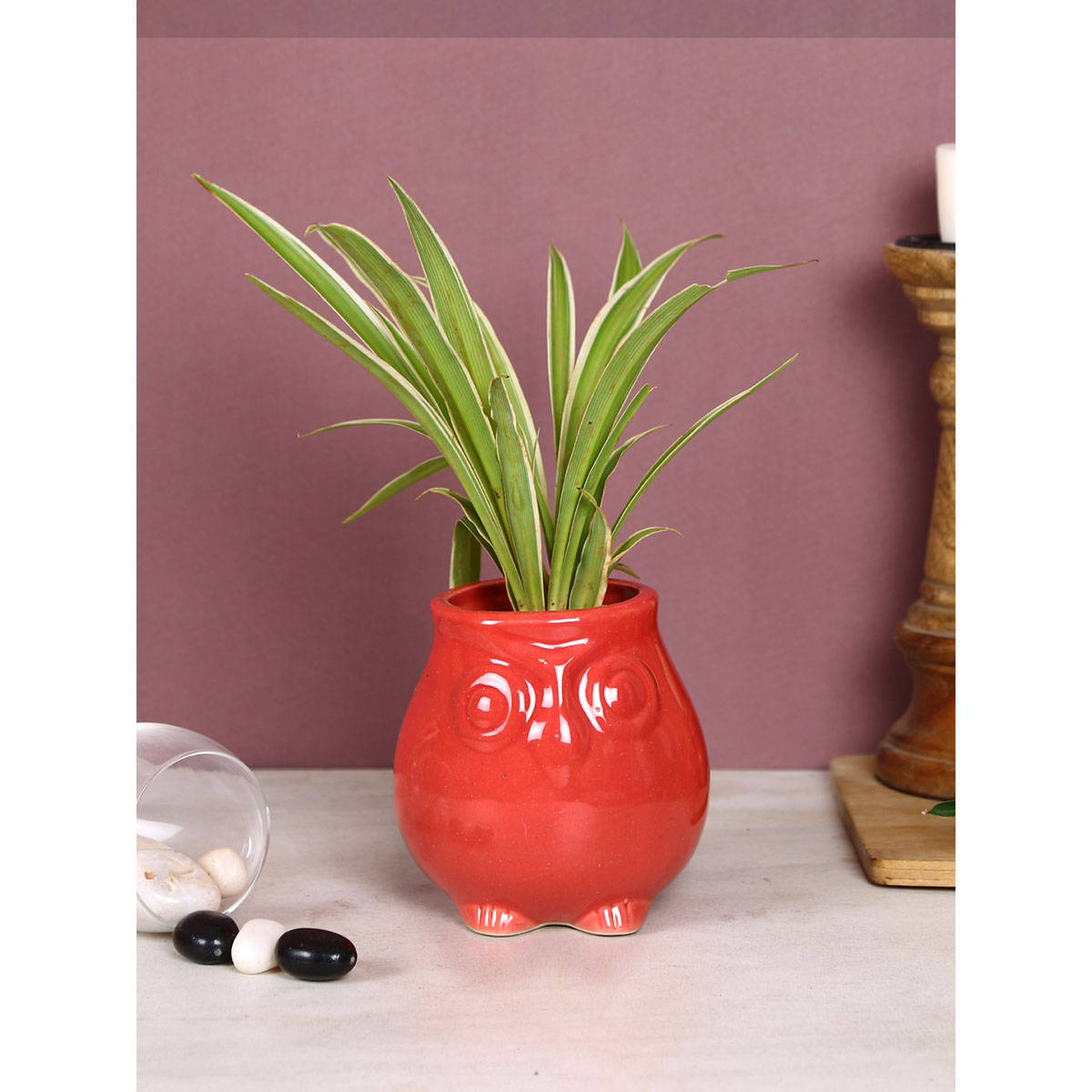 Tayhaa Red Owl Shape Head Mini Planter Pot