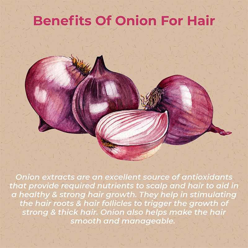 Vedix Onion Hair Oil Dry Hair Snihith Deep Nourishment Anti Hair