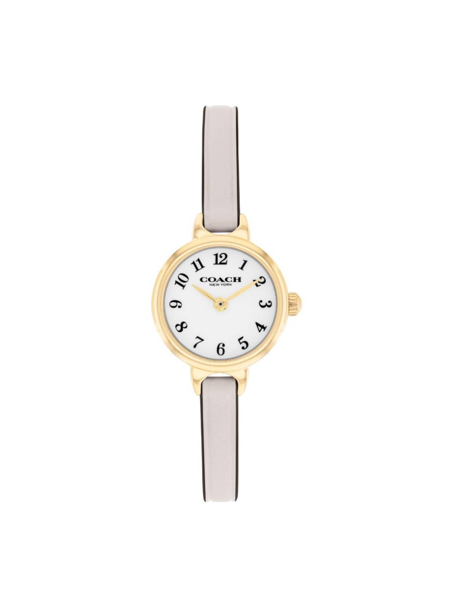 Coach Iris Chalk 22.5 mm Dial Women Analog Watch (14504655) (M)