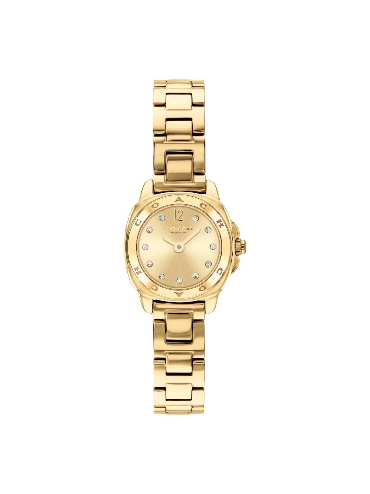 Coach Kitt Thin Gold 21 mm Dial Women Analog Watch (14504728) (M)