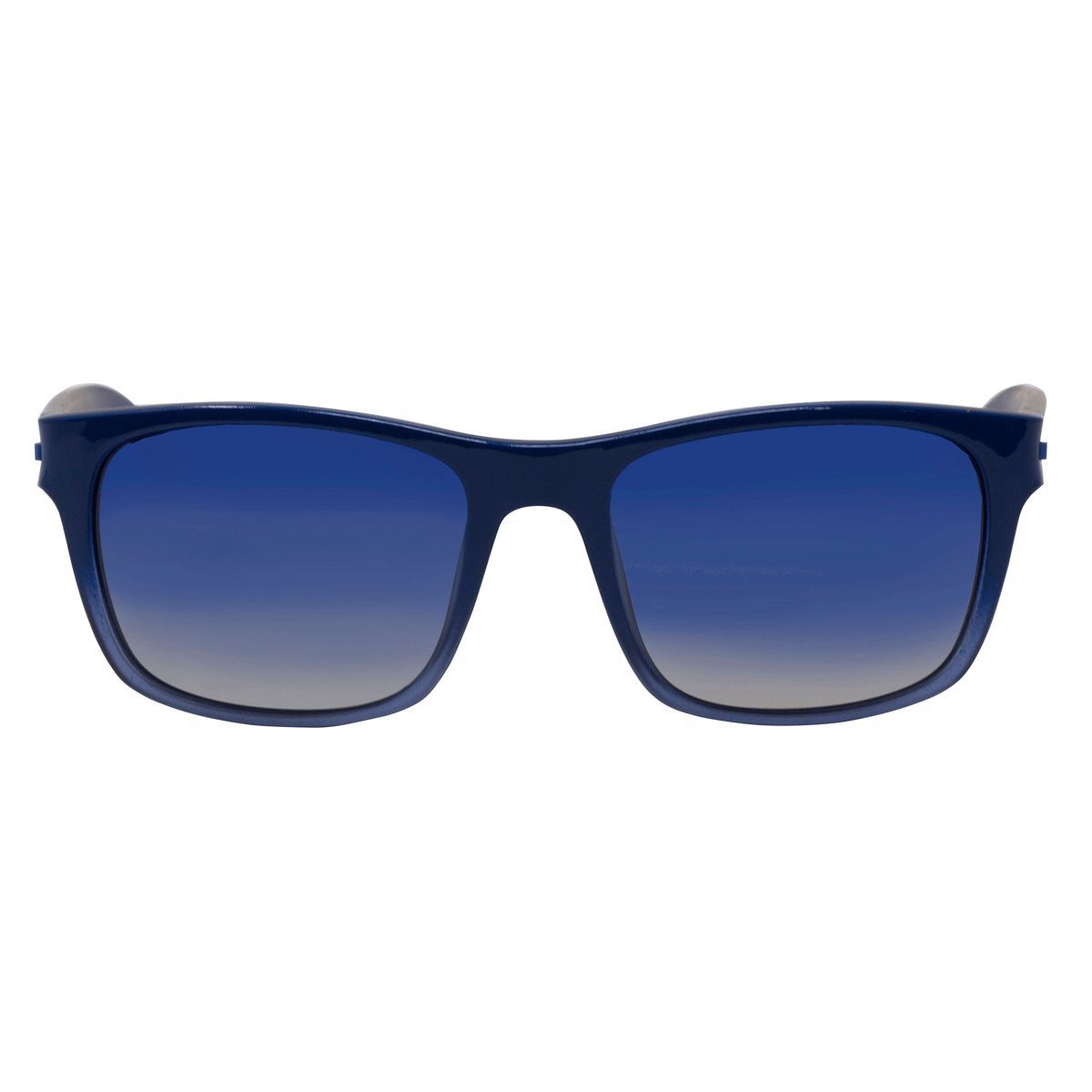 Enrico Blue Polycarbonate Wayfarer Blueberry Men's Sunglasses