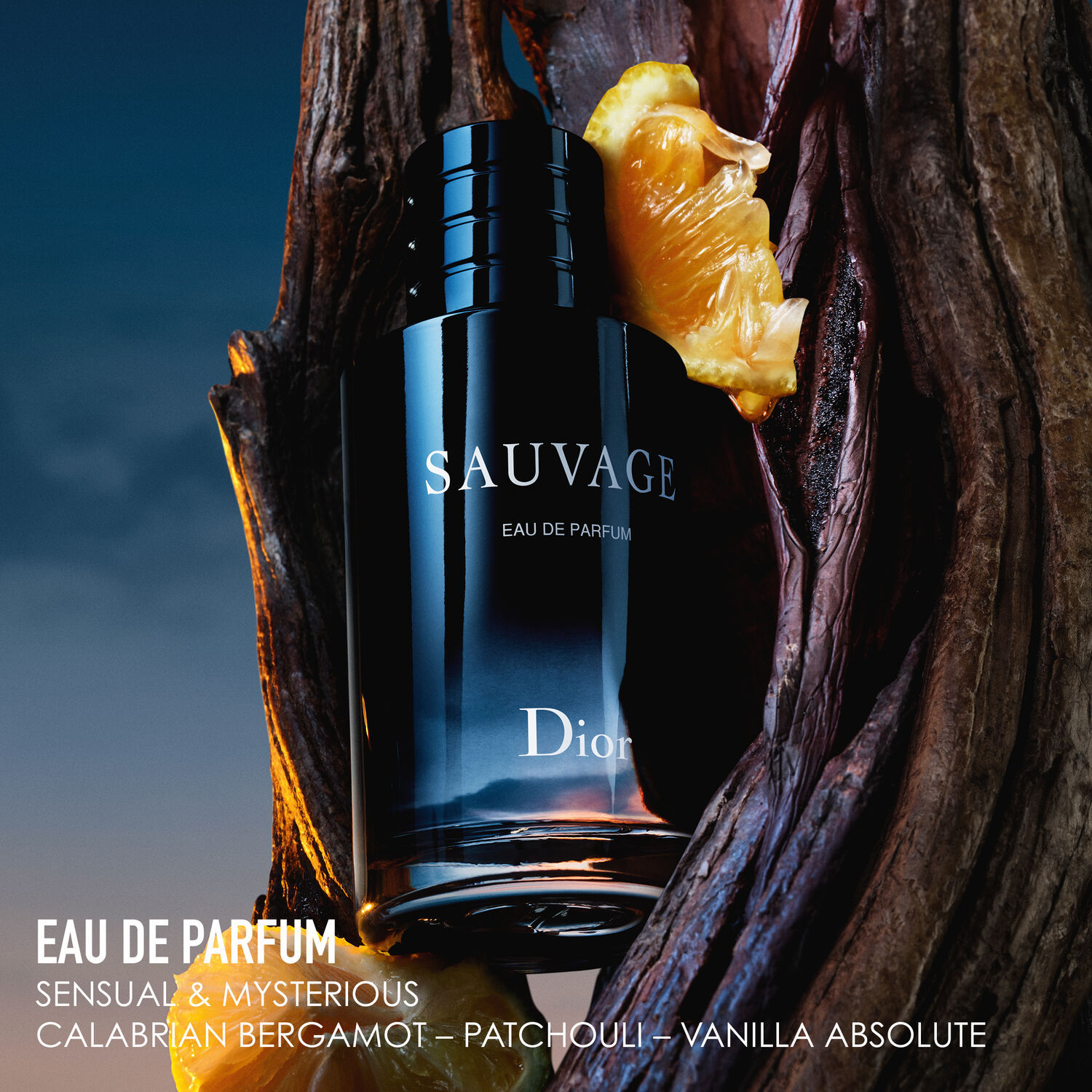 Buy DIOR Sauvage Eau De Parfum For Him Online