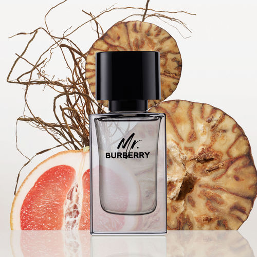 Burberry Edp Burberry Eau De Toilette Spray Buy Burberry Hero EDP