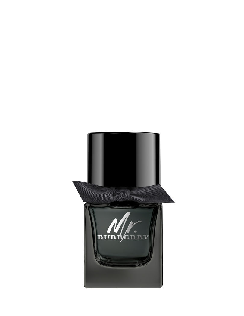 Burberry fashion cologne mr burberry