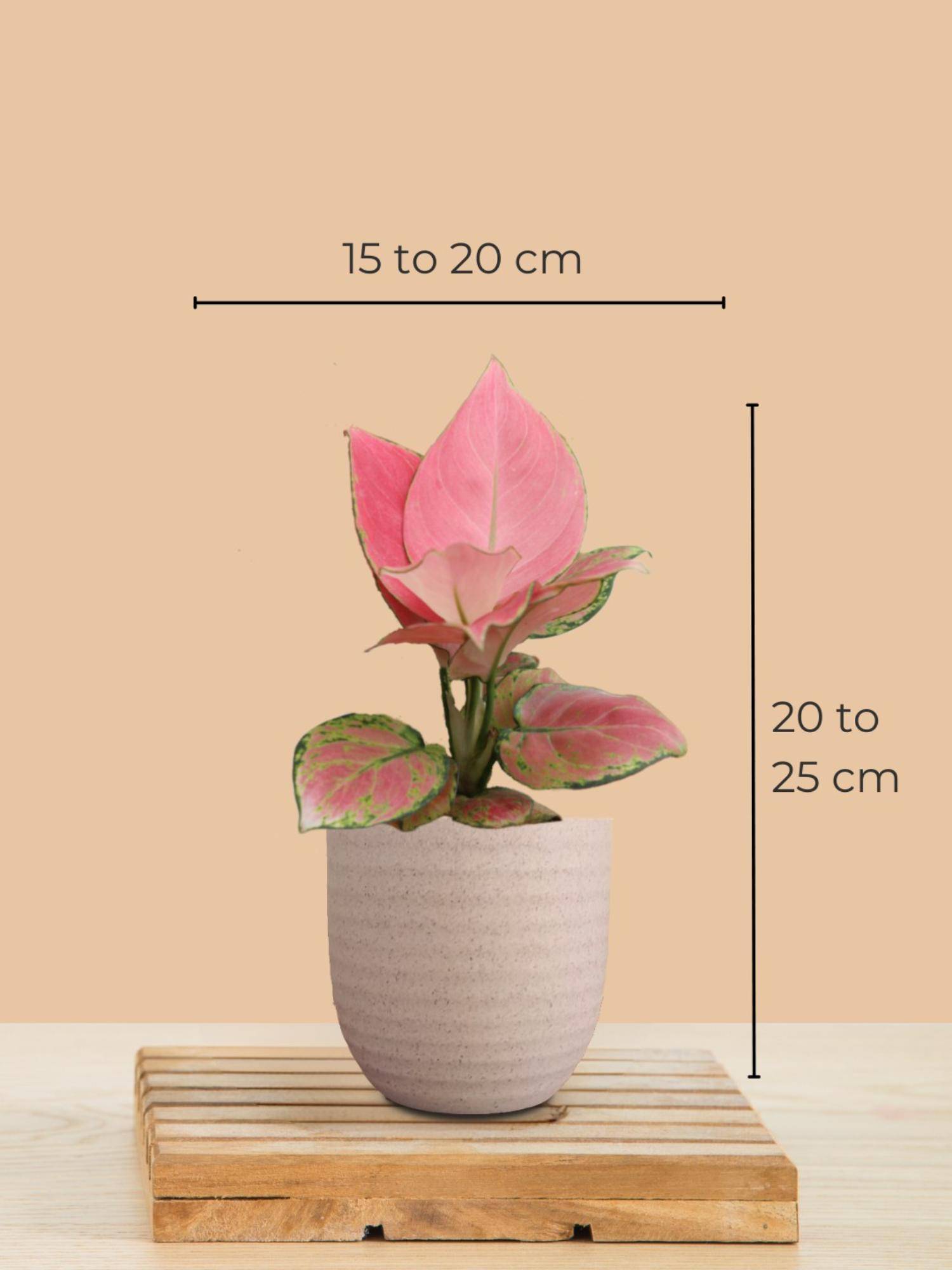 product image3