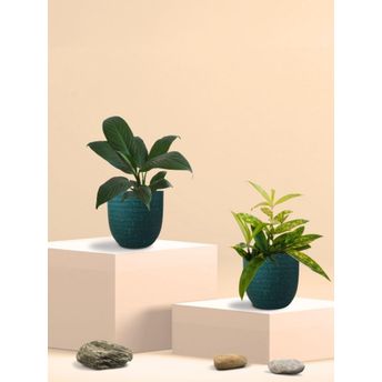 product-image-lens