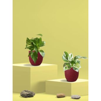 product-image-lens