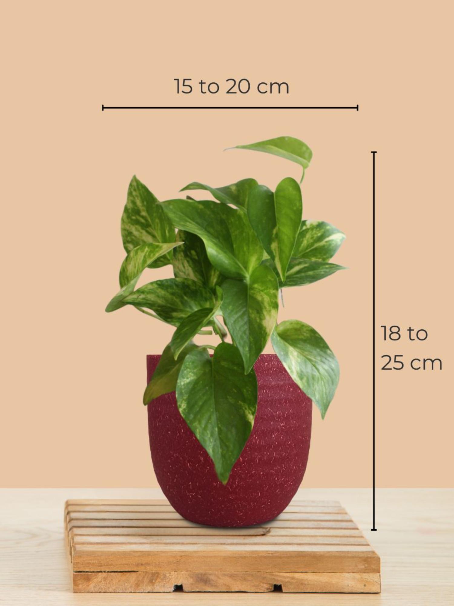 product image3