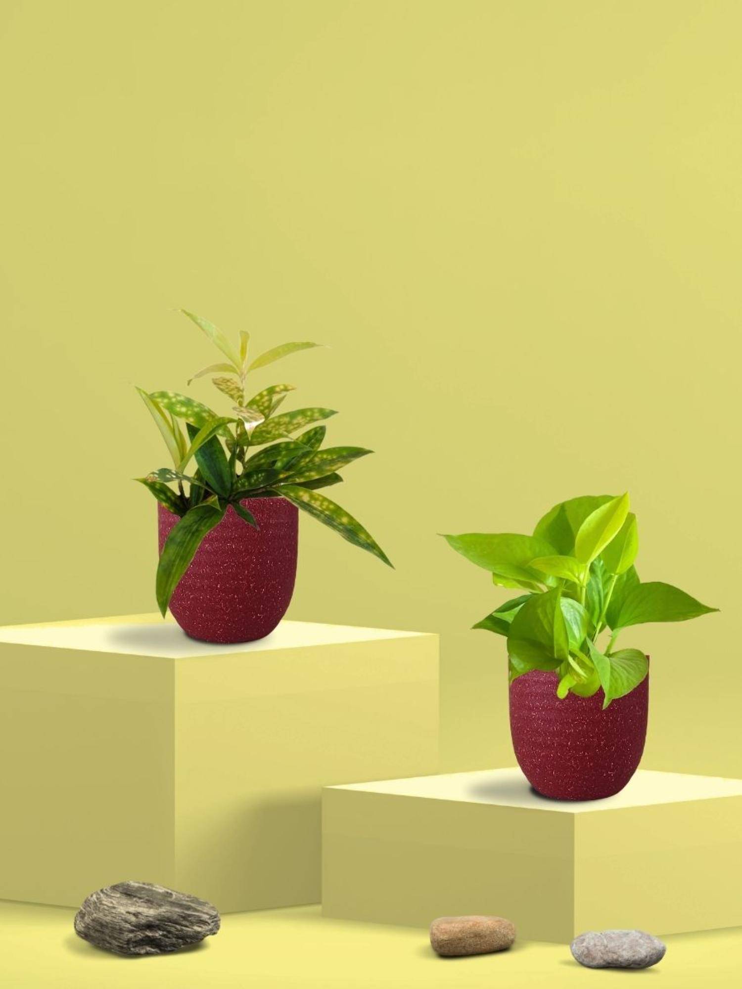 product image1