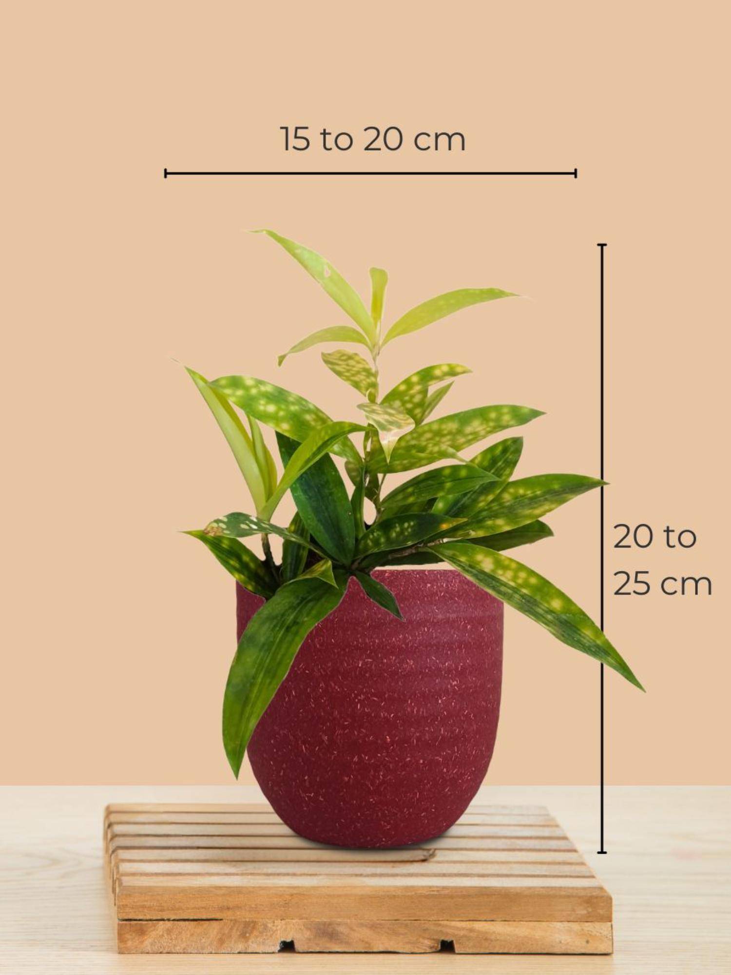 product image3