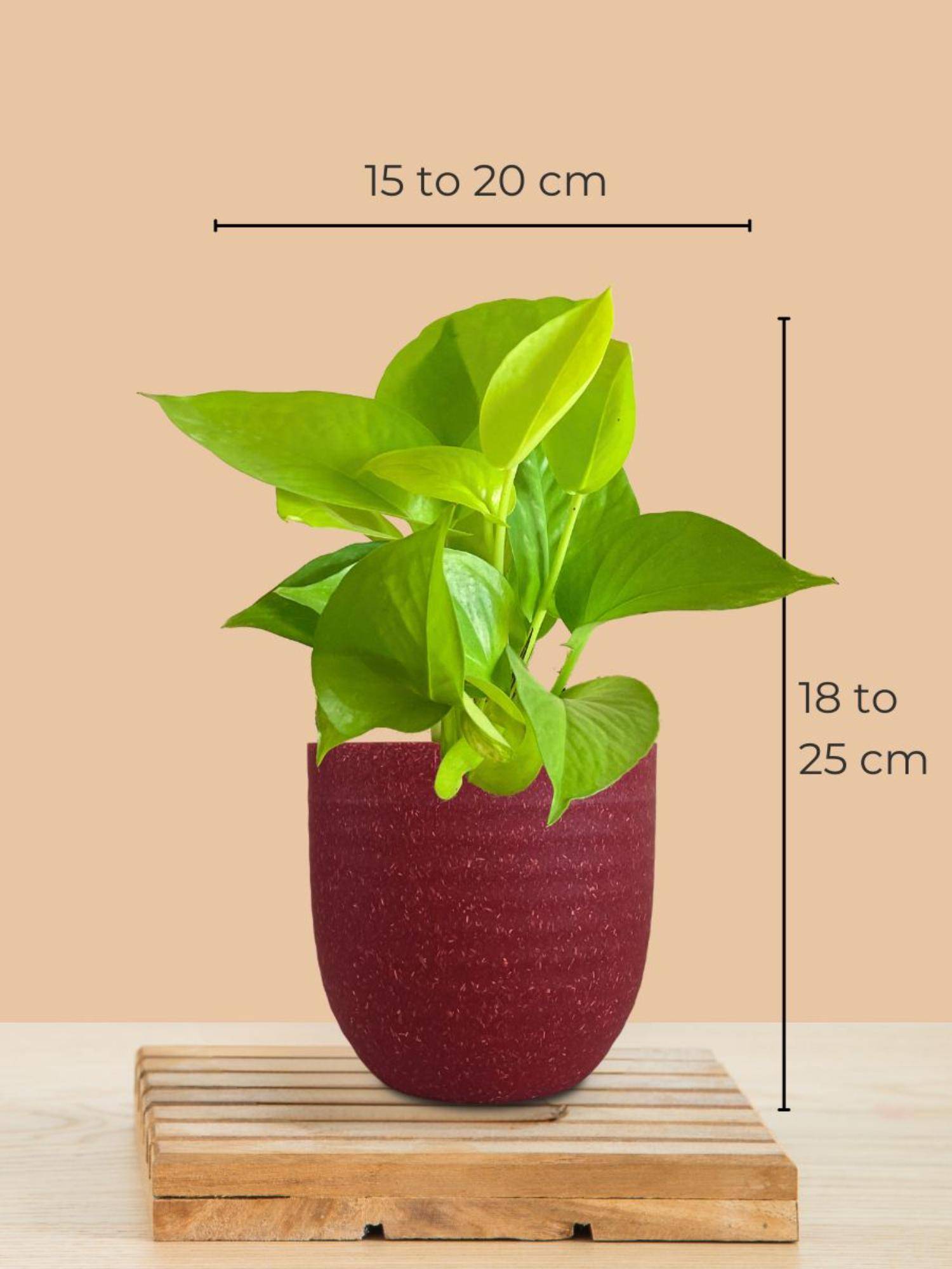 product image4