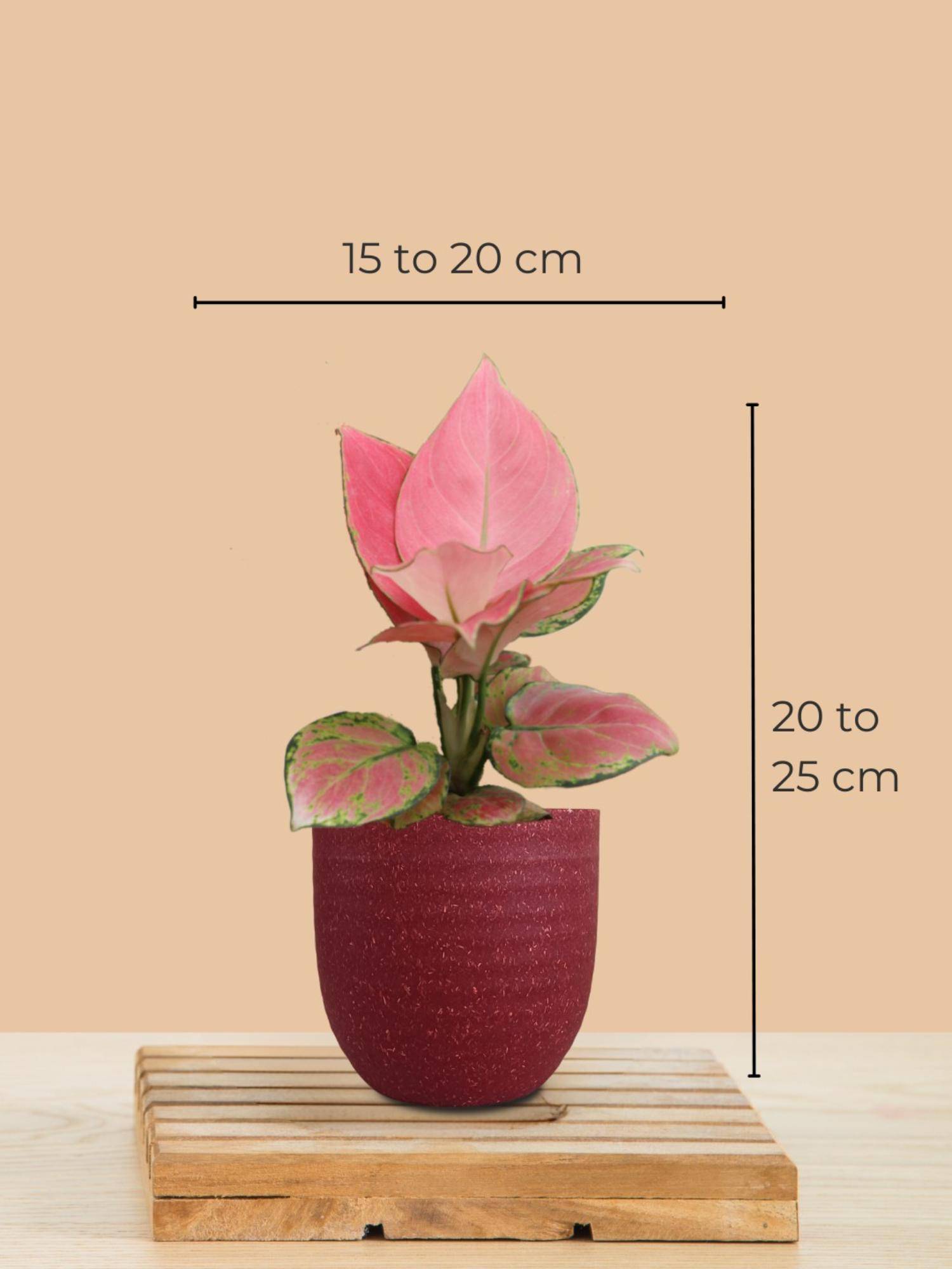 product image3